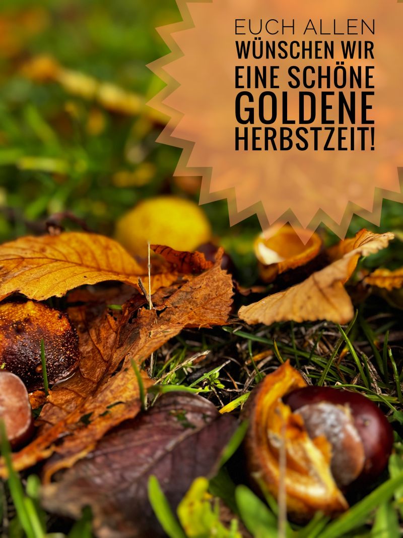 Homepage Herbst 2026